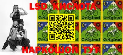 PSILOCYBIN Тверь
