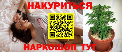 бошки Тара