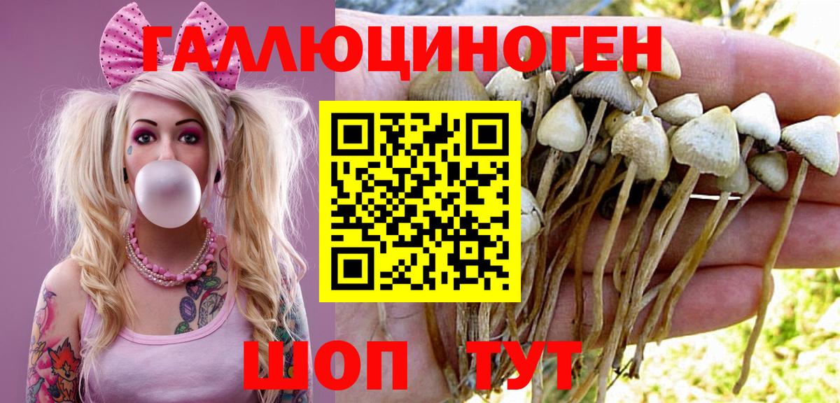 Галлюциногенные грибы мицелий Павловский Посад