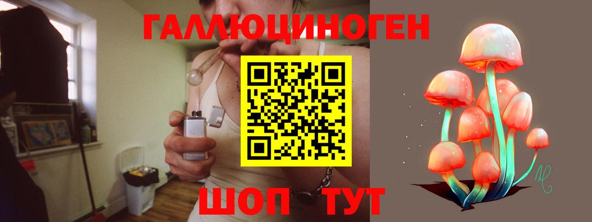 сколько стоит  Псилоцибиновые грибы Cubensis  Павловский Посад  Вход с VPN  Галлюциногенные грибы Psilocybe 